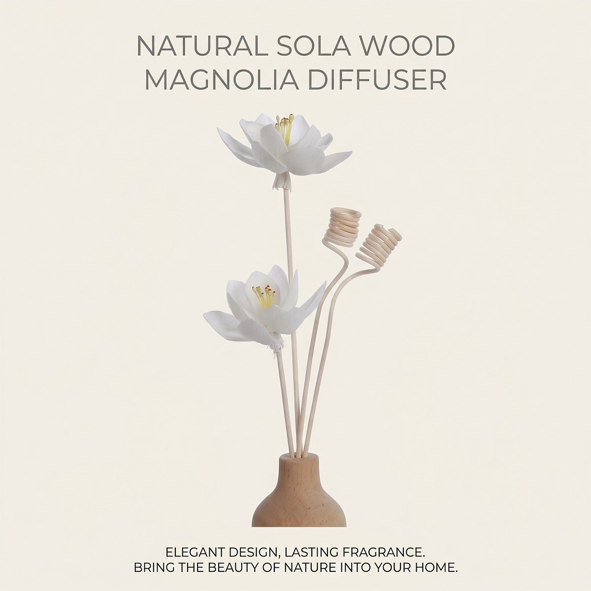 Orchid-Sola-flower-details-1