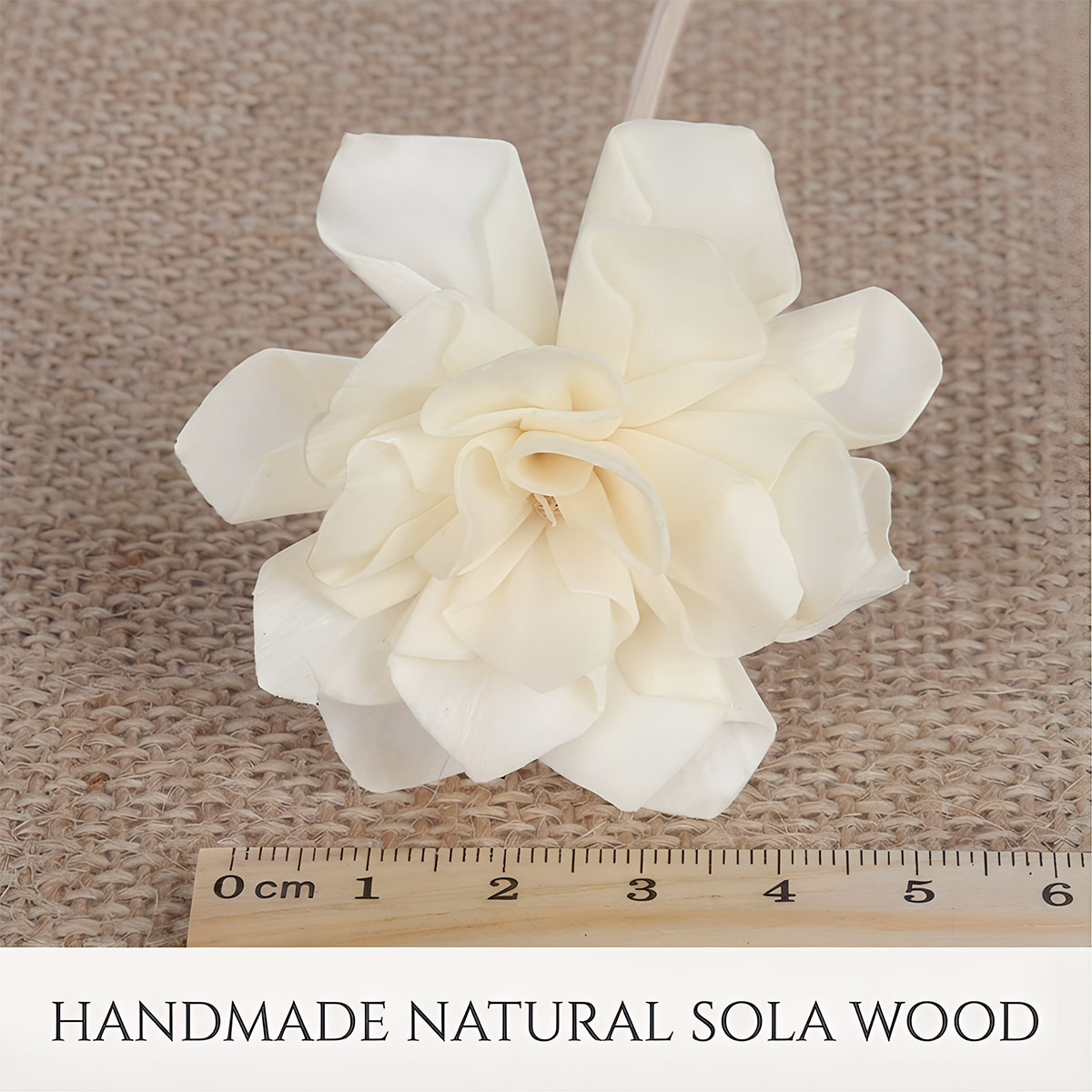 Dahlia-Sola-flower-details-2