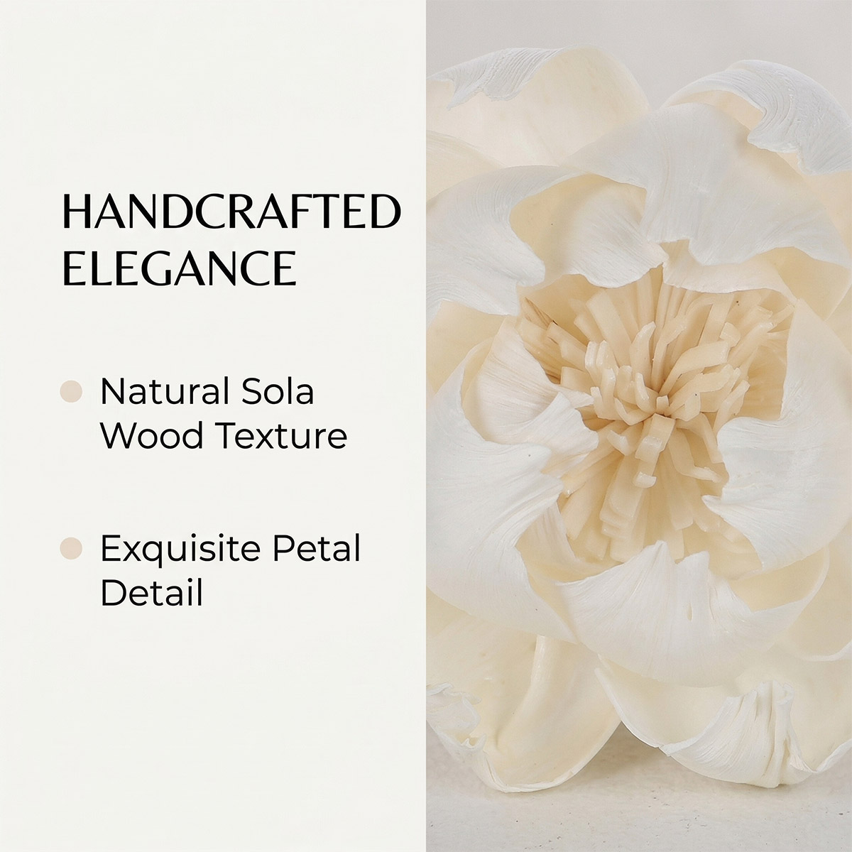 Peony-sola-flower-details-5